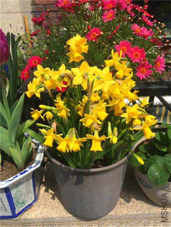 2015-03-28 111432.jpg