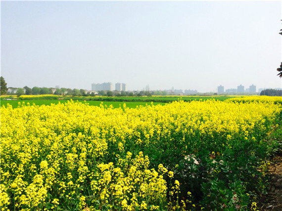 2015-03-29 132752.jpg