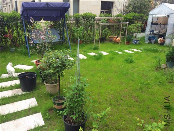 2015-04-04 140145.jpg