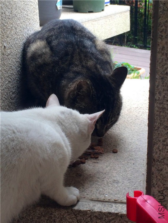 2015-04-04 141551.jpg