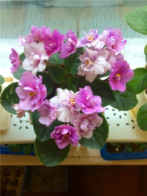 2015-04-06 165220.jpg