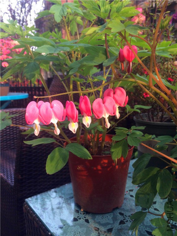 2015-04-10 170718.jpg