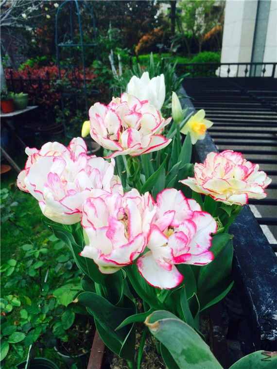 2015-04-10 170917.jpg