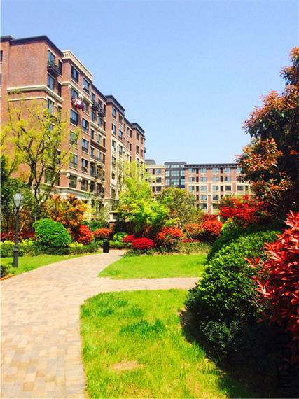 2015-04-12 132607.jpg