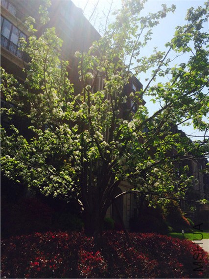 2015-04-12 132814.jpg