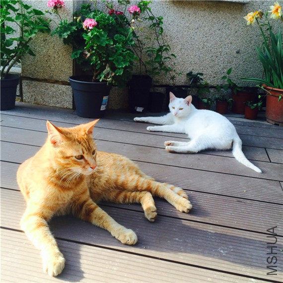 2015-04-23 163503.jpg