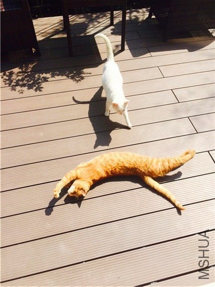 2015-04-12 134650.jpg