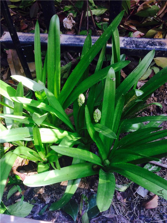 2015-04-12 134836.jpg