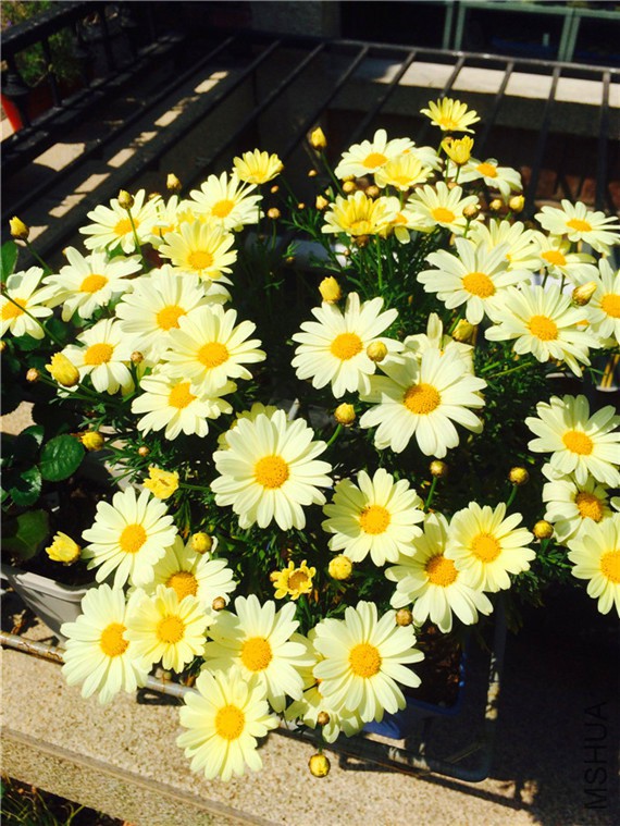 2015-04-12 135056.jpg