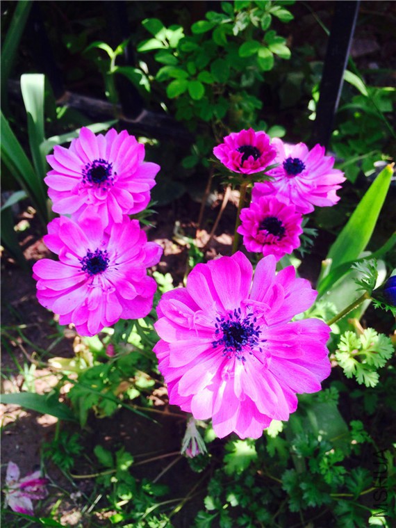 2015-04-12 135423.jpg