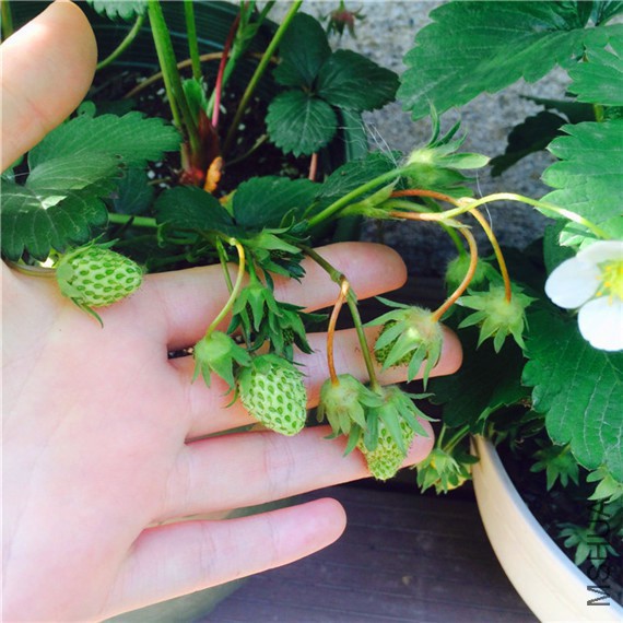 2015-04-23 163242.jpg