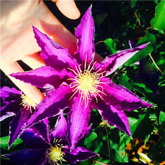 2015-04-23 162249.jpg