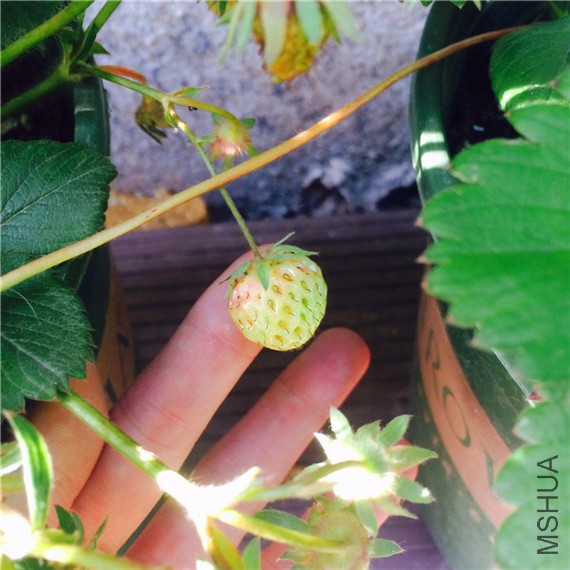 2015-04-23 163232.jpg