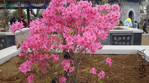 IMG_20150502_121959.jpg