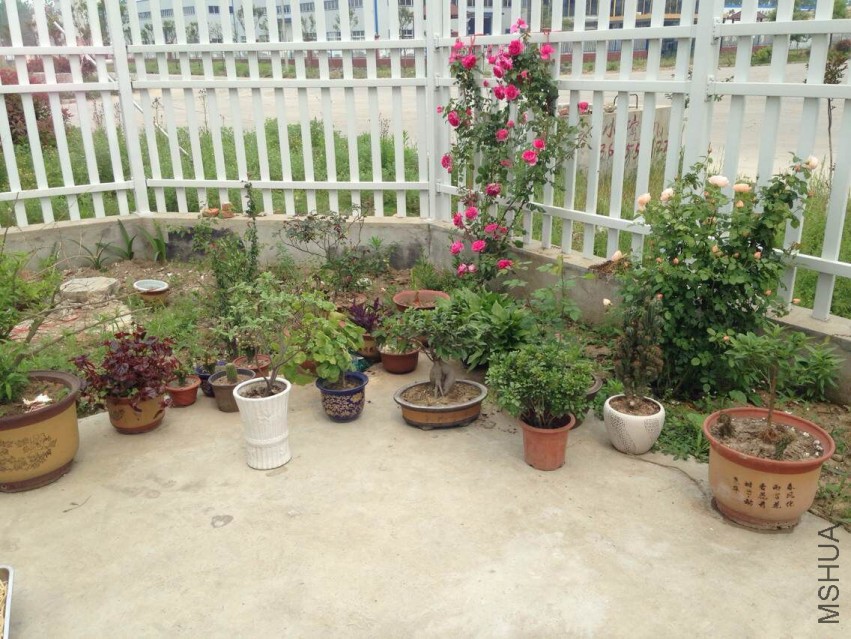 QQͼƬ20150508012.jpg