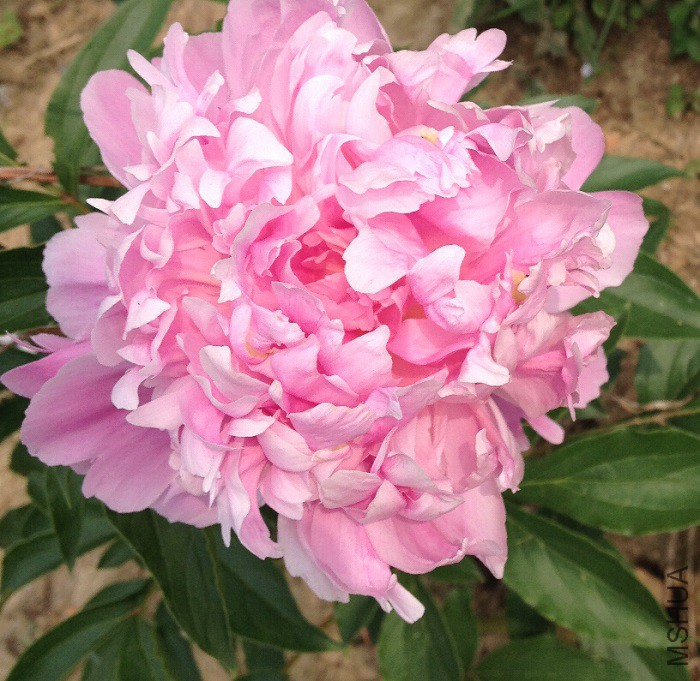 QQ��ͼ20150507203227.jpg