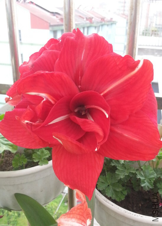 QQ��ͼ20150508132917.jpg