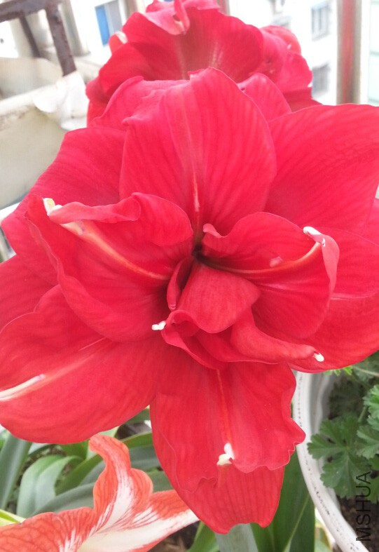 QQ��ͼ20150508132927.jpg