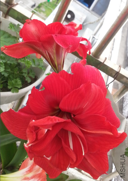 QQ��ͼ20150508132940.jpg