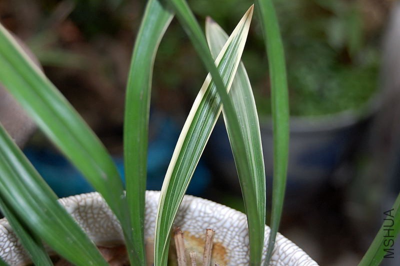 DSC_00140014.JPG