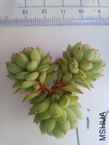073423l89pc2oya1pafuu7.jpg