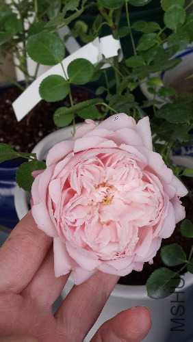20150506_171040.jpg