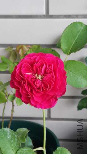 20150506_171430.jpg