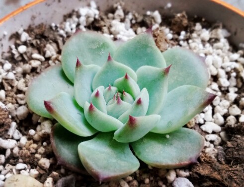 2015-05-08 19.58.26.jpg