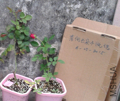 20150508_182416_mh1431088963045.jpg