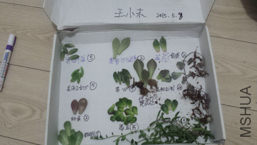 2015-05-08_21.38.28.jpg