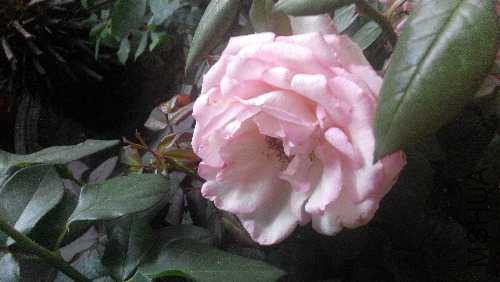IMG_20150509_103424.jpg