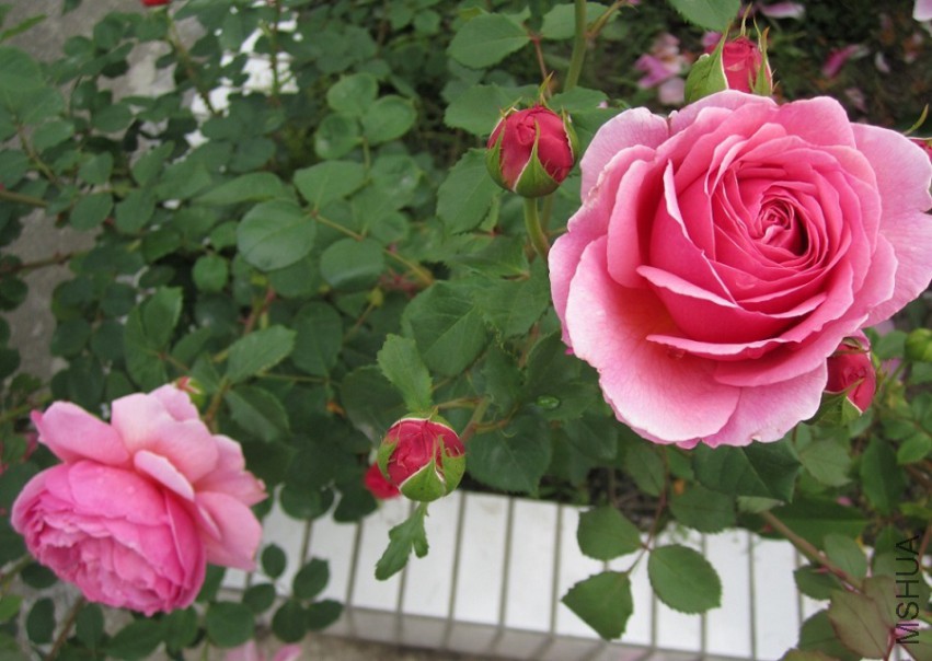 QQ��ͼ20150509105520.jpg