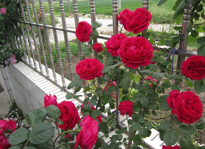 QQ��ͼ20150509105634.jpg