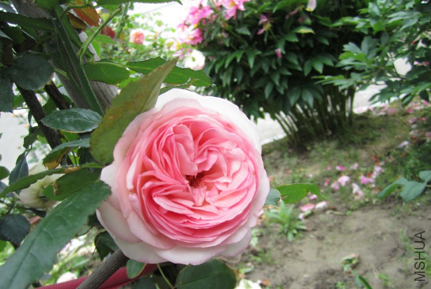 QQ��ͼ20150509105648.jpg