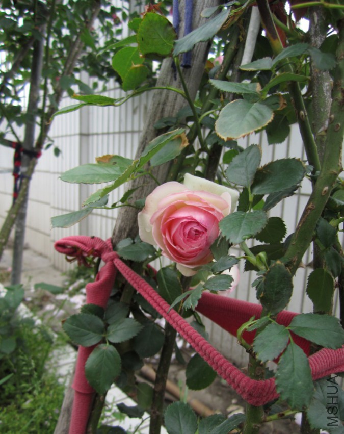 QQ��ͼ20150509105700.jpg