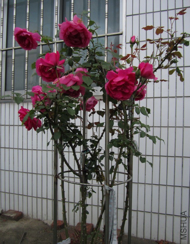 QQ��ͼ20150509105805.jpg