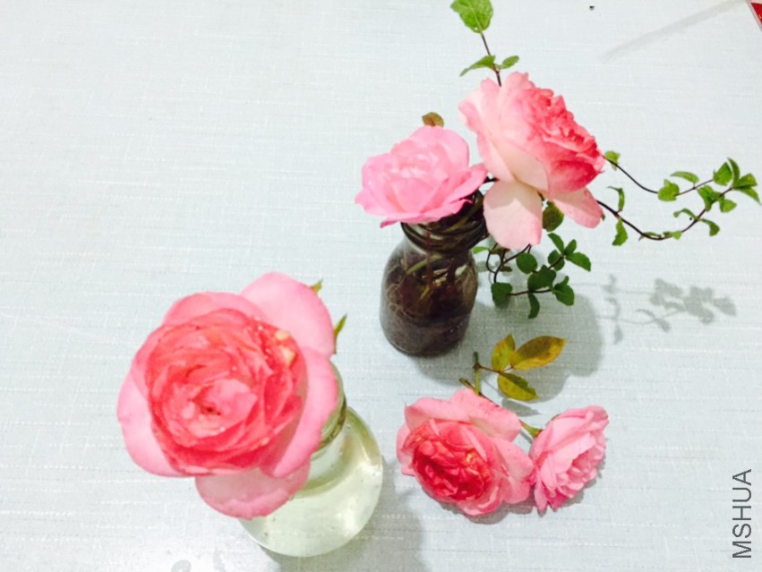 �������� ժ����ƿ��