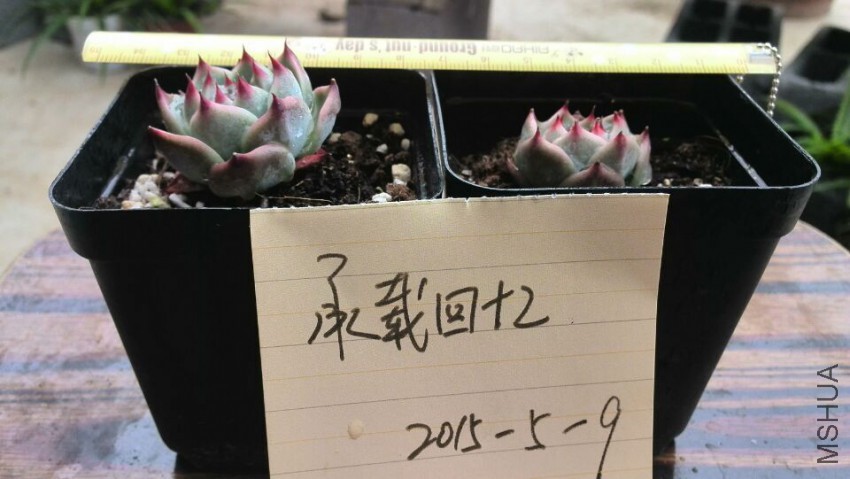 QQͼƬ20150509142659.jpg