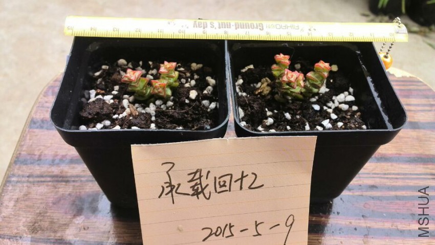 QQͼƬ20150509142654.jpg