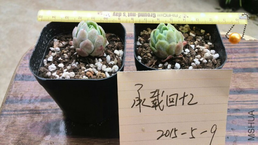 QQͼƬ20150509142650.jpg