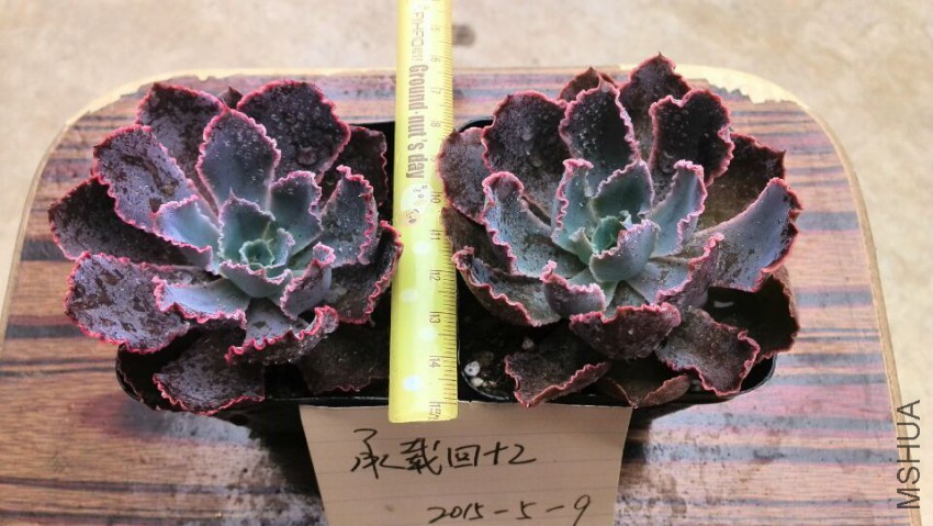 QQͼƬ20150509142642.jpg