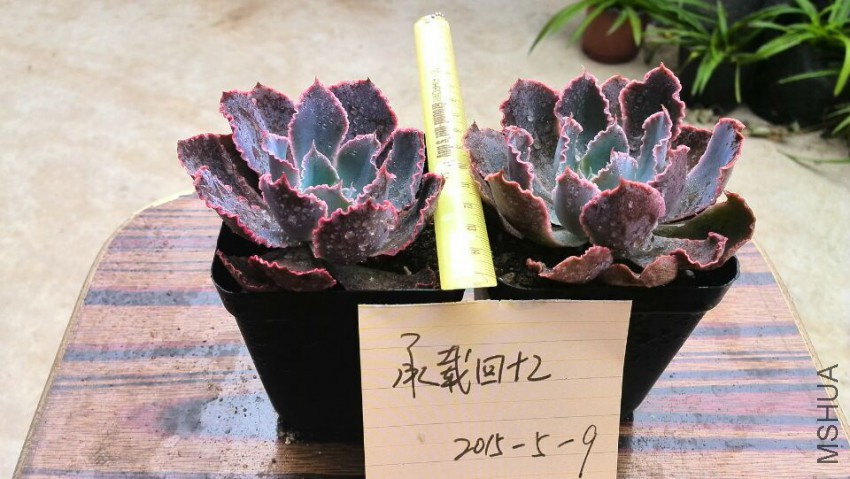 QQͼƬ20150509142646.jpg