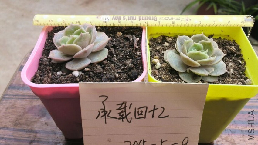 QQͼƬ20150509142637.jpg