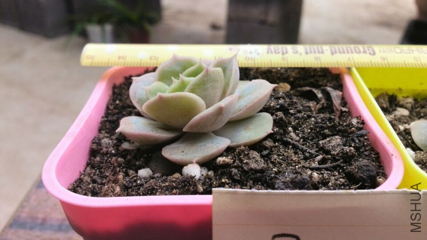 QQͼƬ20150509142633.jpg