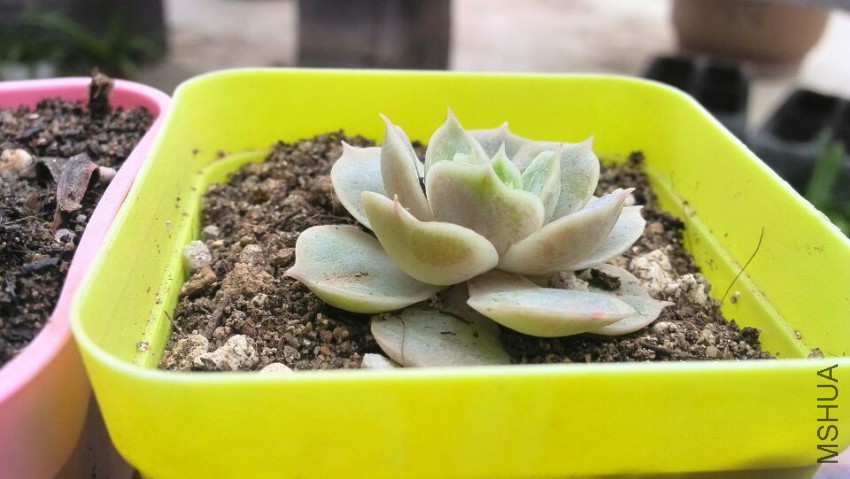 QQͼƬ20150509142629.jpg