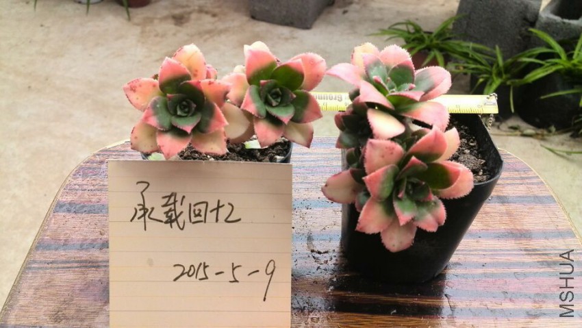 QQͼƬ20150509142624.jpg