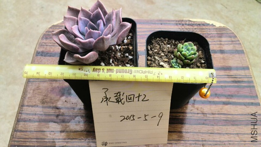 QQͼƬ20150509142620.jpg