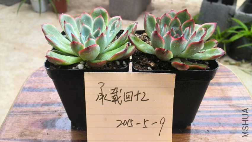 QQͼƬ20150509142611.jpg