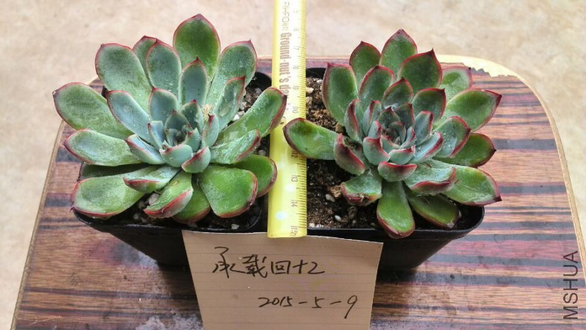 QQͼƬ20150509142607.jpg