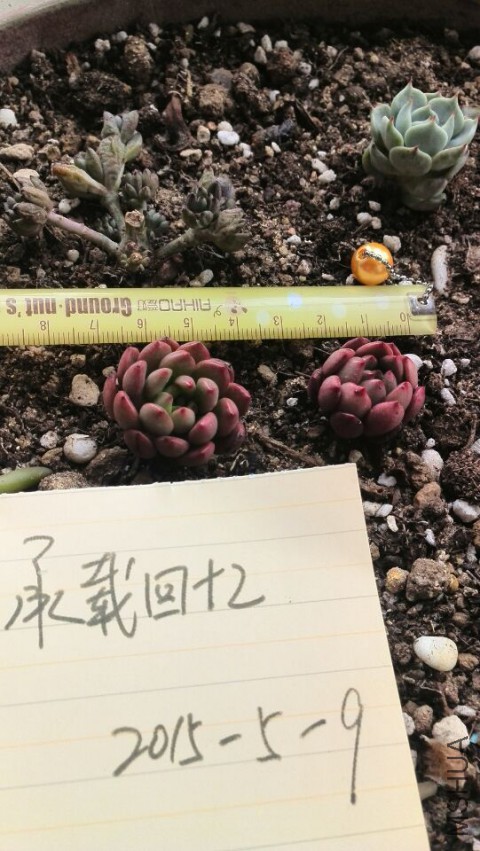 QQͼƬ20150509142602.jpg